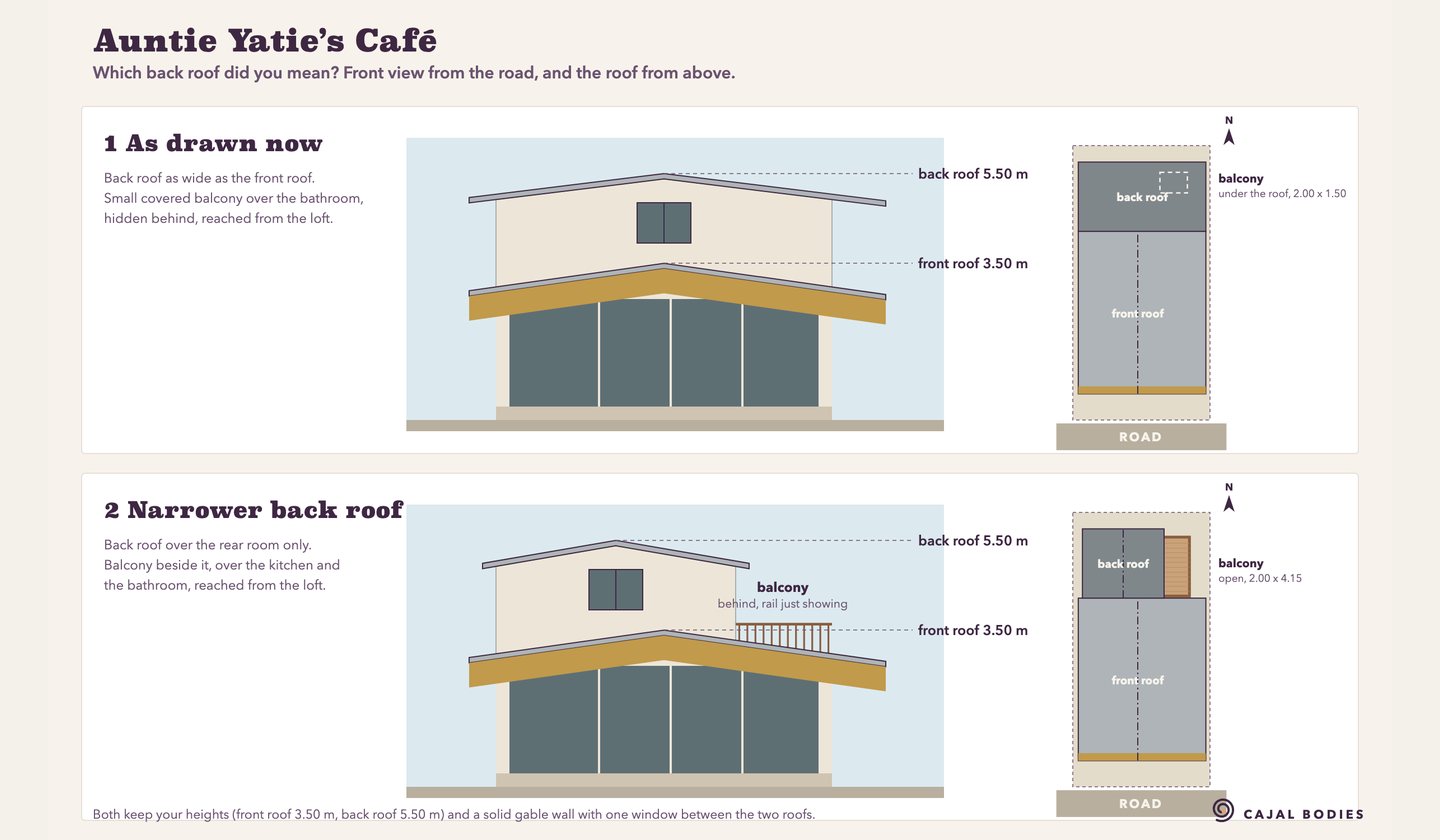 The two back-roof options drawn for the owner to choose between