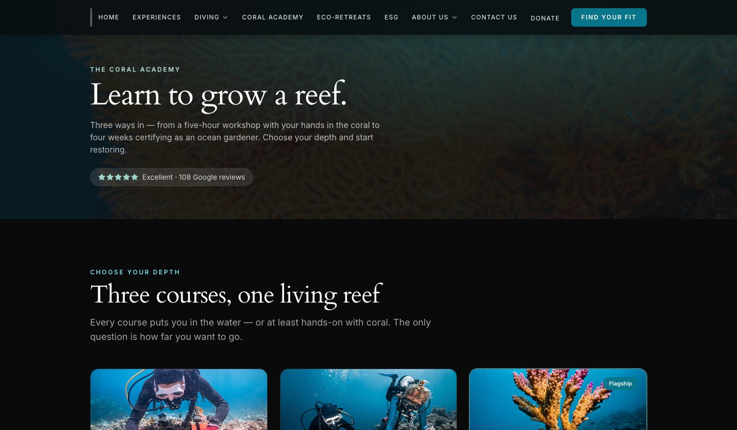 The Coral Academy page with its three courses