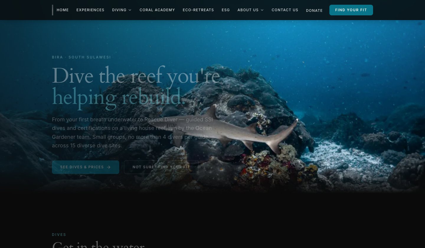 The diving page for Tanjung Bira