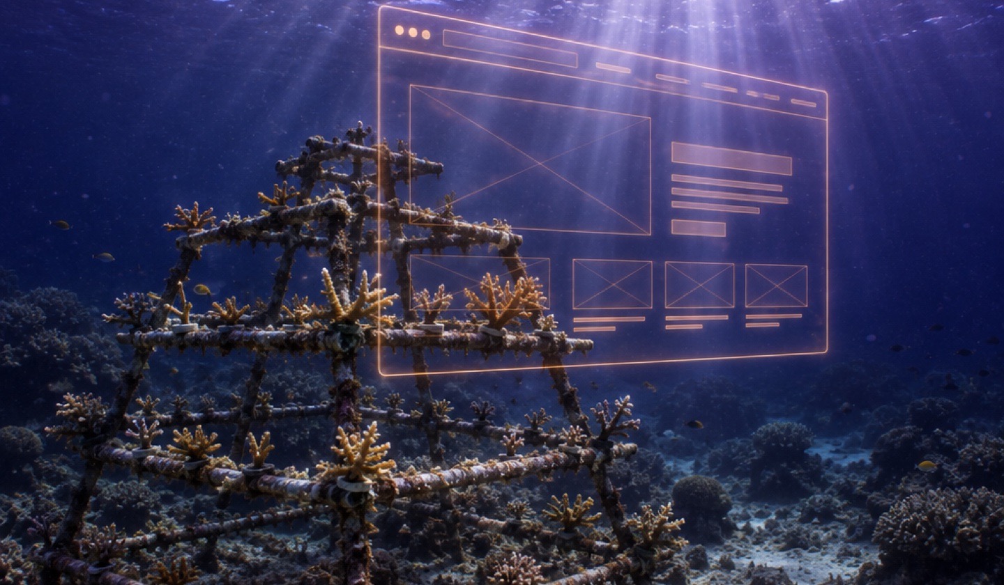 A coral restoration frame on the house reef with a page wireframe hanging in the water beside it